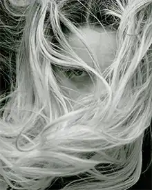 Syntonia hair insertioweb