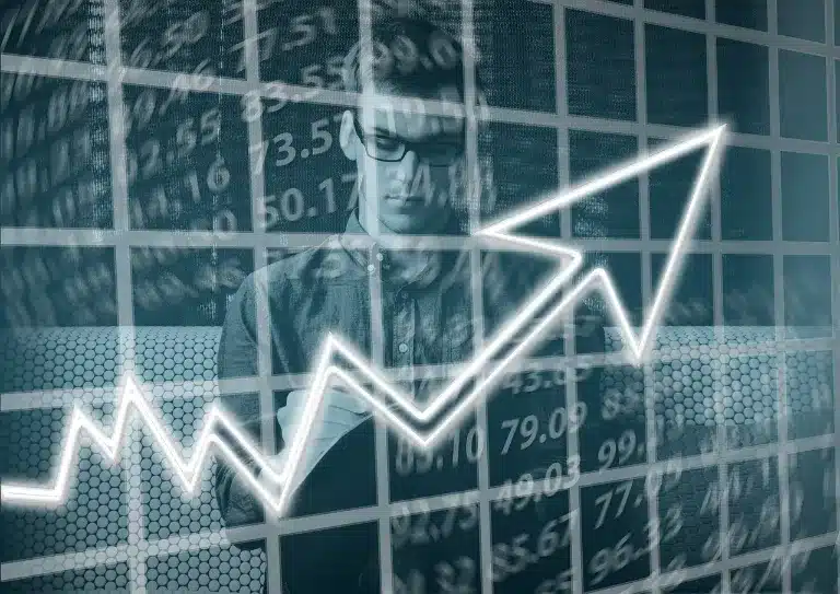 statistika web stranica insertioweb